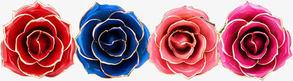 四色金边玫瑰彩色七夕情人节免抠