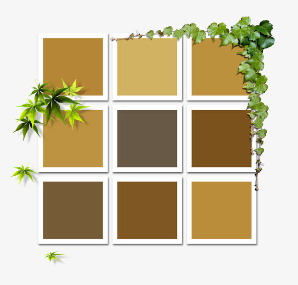 照片墙免抠