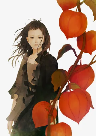 卡通立绘灯笼花美女女子免抠