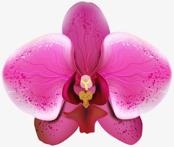 水墨手绘花朵免抠