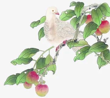 中国风水墨国画花鸟免抠