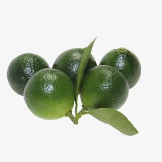 带着嫩绿叶子的小金橘免抠