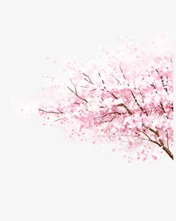 清新唯美粉色樱花树免抠