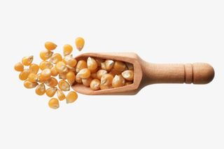 实物一瓢熟玉米粒免抠