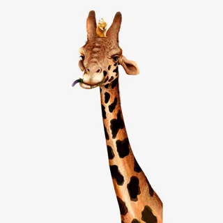 彩色卡通装饰长颈鹿设计图免抠