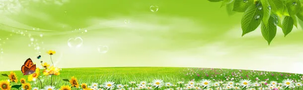 淘宝全屏海报banner