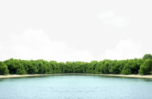 树林湖景免抠背景其他元素 树林湖景免抠背景其他元素