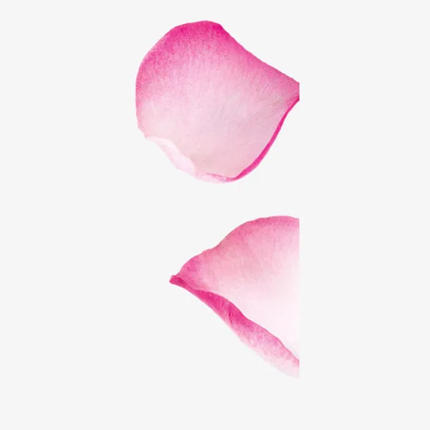 花瓣免抠图免抠