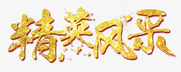 精英风采 艺术字免抠