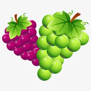 手绘精美葡萄水果免抠