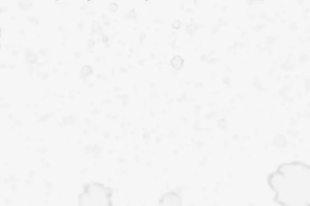 冬日雪花场景朦胧免抠