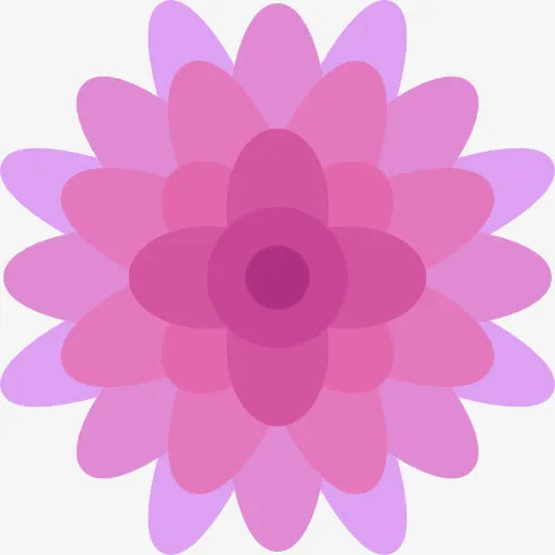 菊花图标免抠