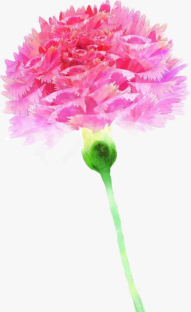 手绘粉色分层康乃馨花朵免抠