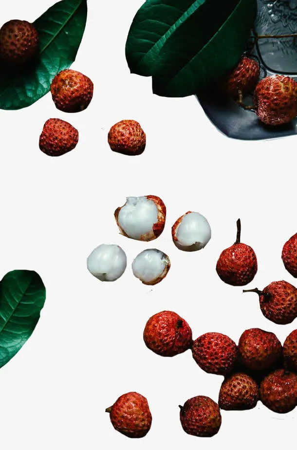 散落的荔枝果实免抠