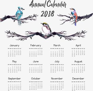 水彩花鸟日历模板免抠
