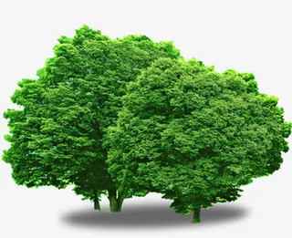 绿色春天卡通大树季节免抠