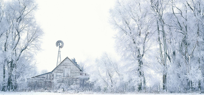 雪中林海 房屋高清