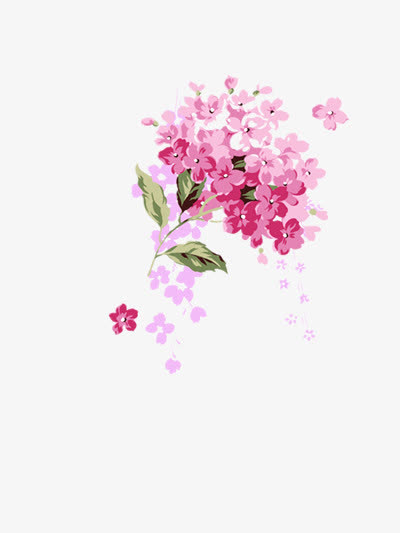 手绘透明小红花png免抠