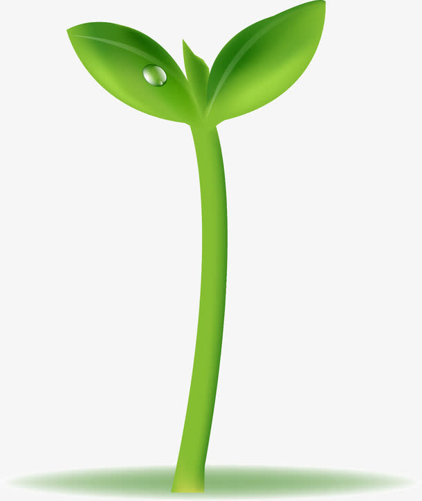 绿色小树苗矢量图免抠