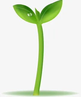 绿色小树苗矢量图免抠