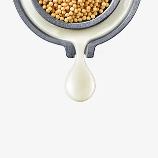 黄豆免抠 黄豆免抠