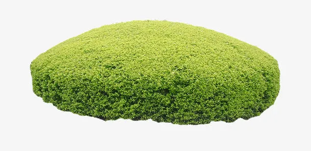 花草丛林免抠