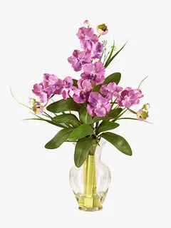 花朵免抠 花朵免抠