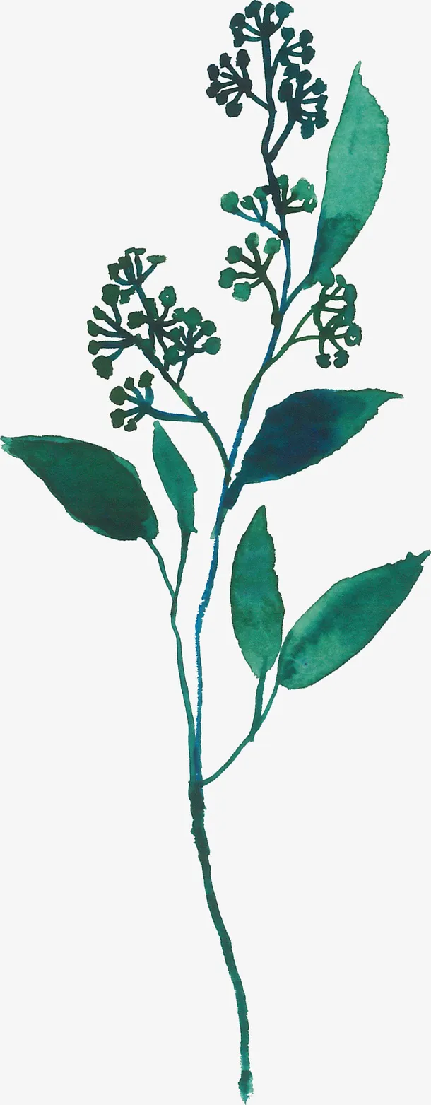 水彩绿色叶子免抠图免抠