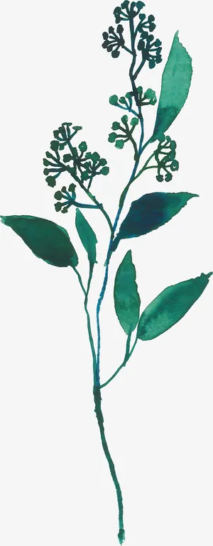 水彩绿色叶子免抠图免抠