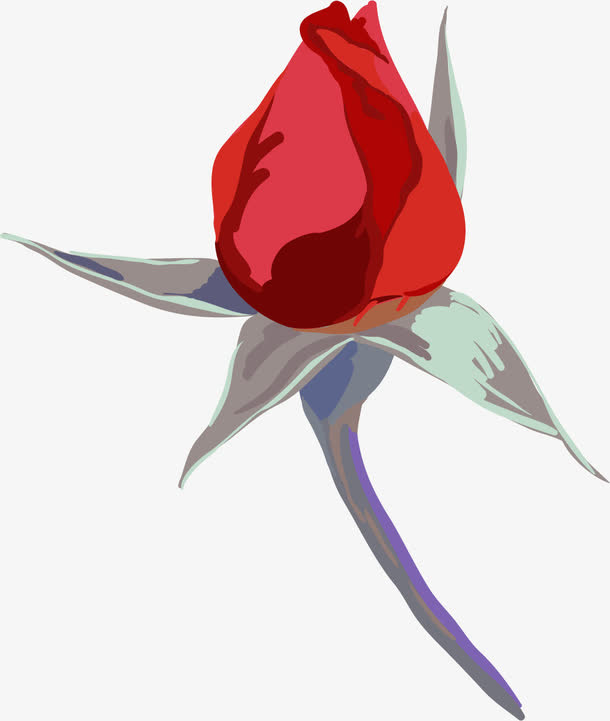 手绘玫瑰花苞免抠
