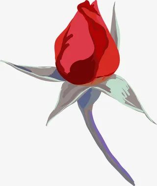 手绘玫瑰花苞免抠