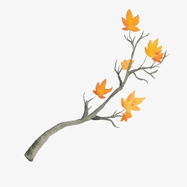 树枝树叶免抠