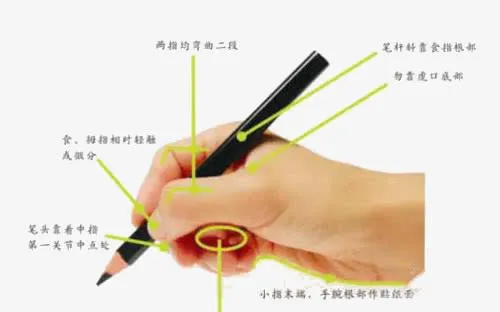 手握笔解说图免抠