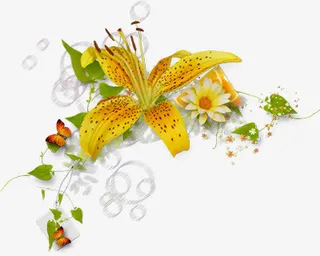 黄色鲜花免抠png边框免抠