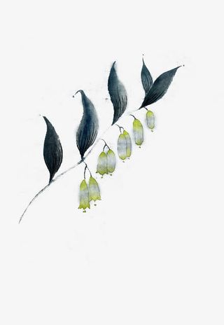 手绘墨迹黒叶花朵免抠