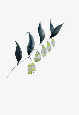 手绘墨迹黒叶花朵免抠