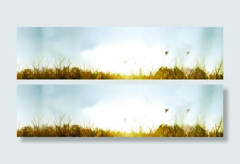 秋装秋天草丛背景banner