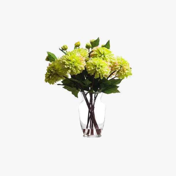 欧美流行插花 绿植物 鲜花软装免抠