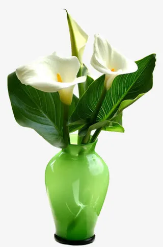 花草背景素材创意花卉图片