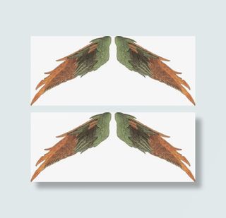 手绘红色炫酷翅膀PNG透明背景素材