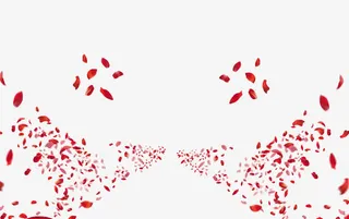 飞旋的红色玫瑰花瓣免抠