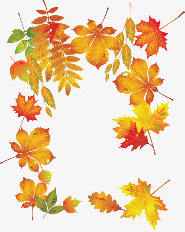 各种树叶子免抠