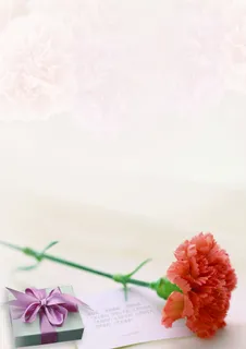 清新简约母亲节平面广告高清