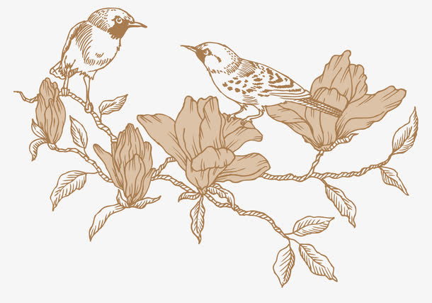 复古线描鸟类 植物免抠