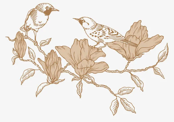 复古线描鸟类 植物免抠