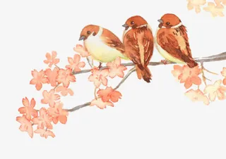 树枝上的麻雀手绘免抠