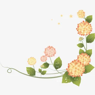 边框花草图案免抠