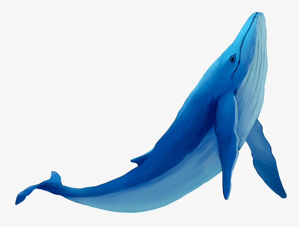 鲸鱼太多上传不完免抠