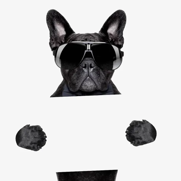 卡通拿着牌子的小狗免抠图免抠