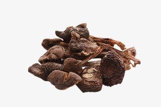 营养食用菌鸡枞菌菇免抠